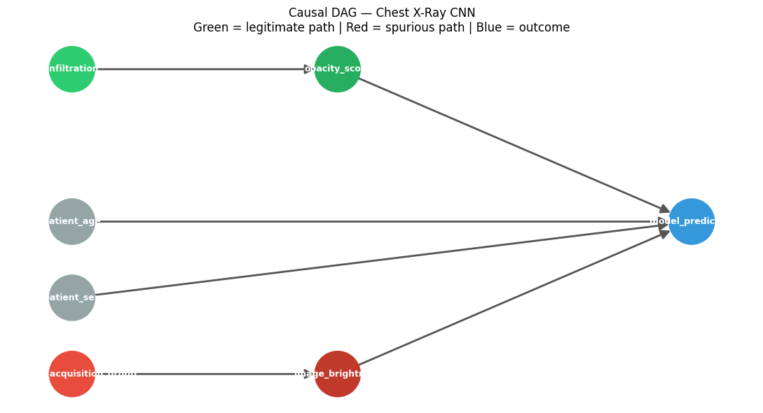 ../_images/example_notebooks_gcm_chest_xray_causal_inference_15_0.png